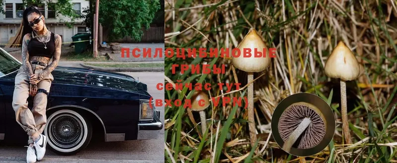 Галлюциногенные грибы MAGIC MUSHROOMS  Партизанск 